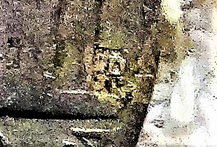 DSC02954 (3).JPG