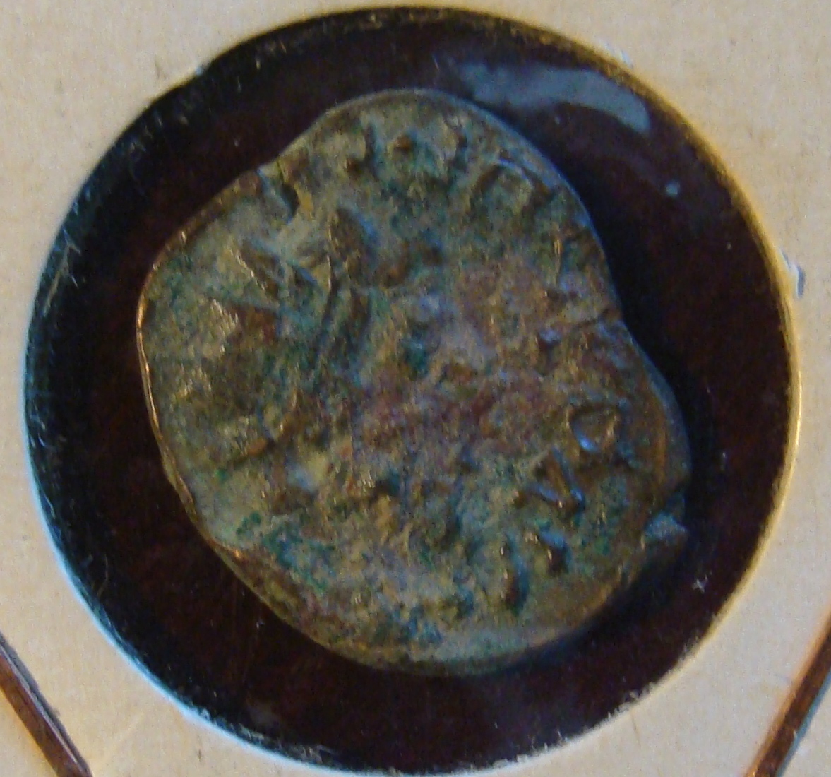DSC03798.JPG