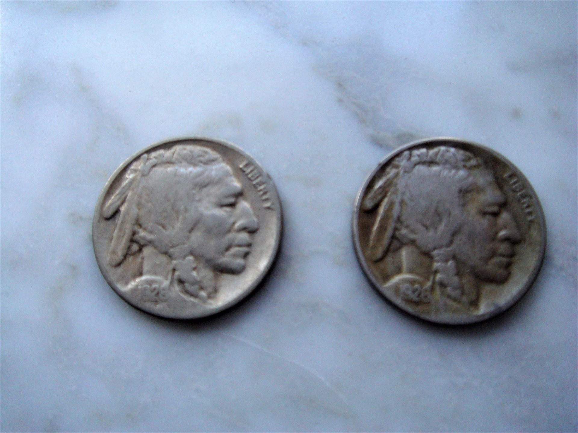 DSC03858 (2).JPG