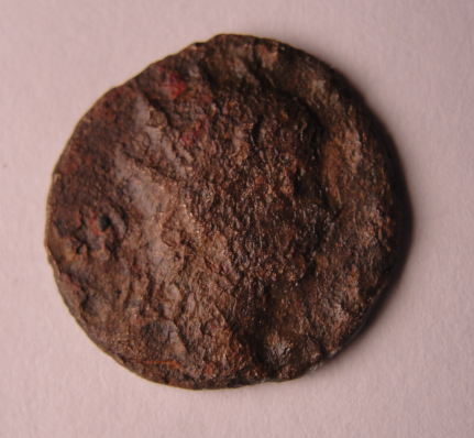 DSC04031_opt.jpg