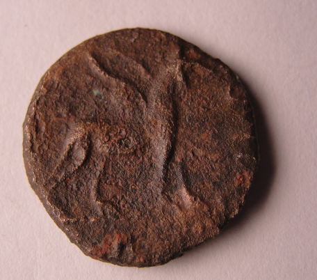 DSC04032_opt.jpg