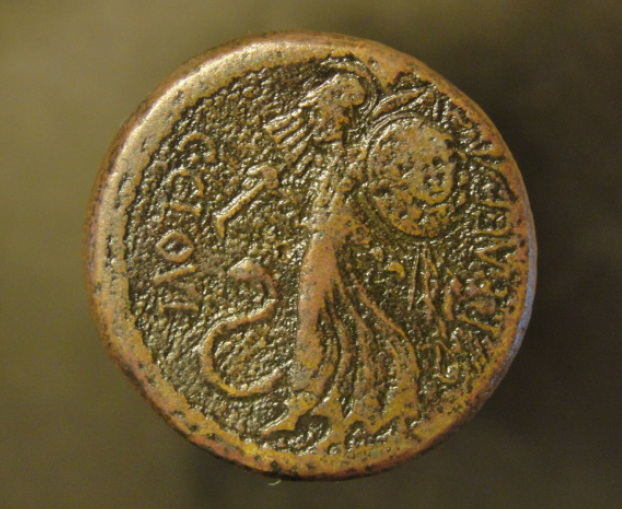 DSC04917_opt.jpg