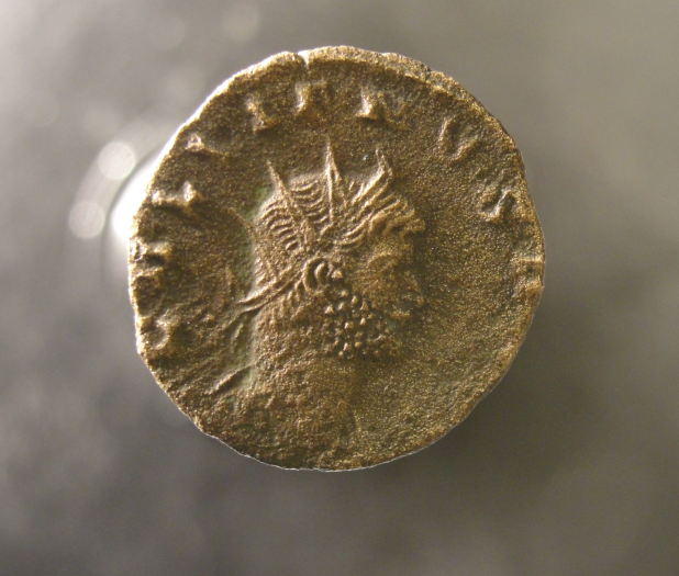 DSC05127_opt (1).jpg
