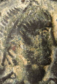 DSC05351_opt.jpg