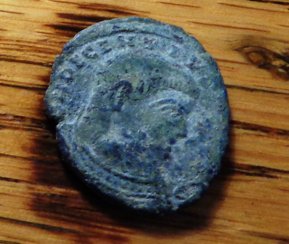 DSC08624.JPG