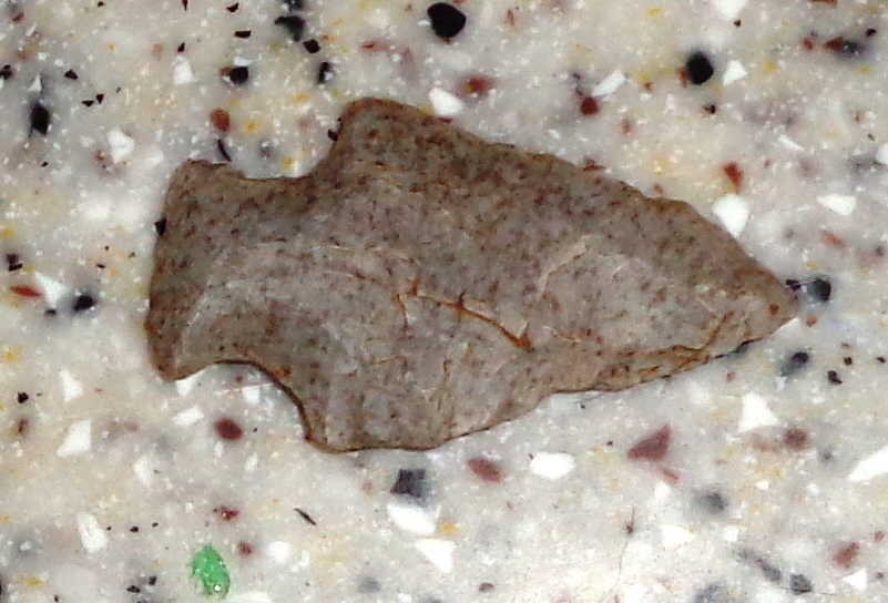 DSC08904.JPG