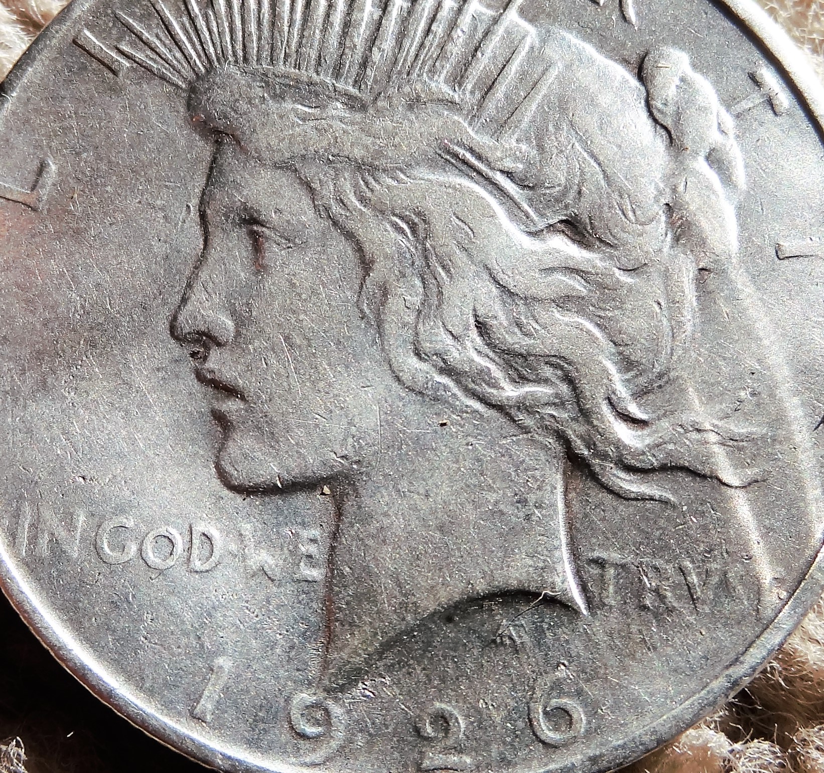 DSC09553 (2).JPG
