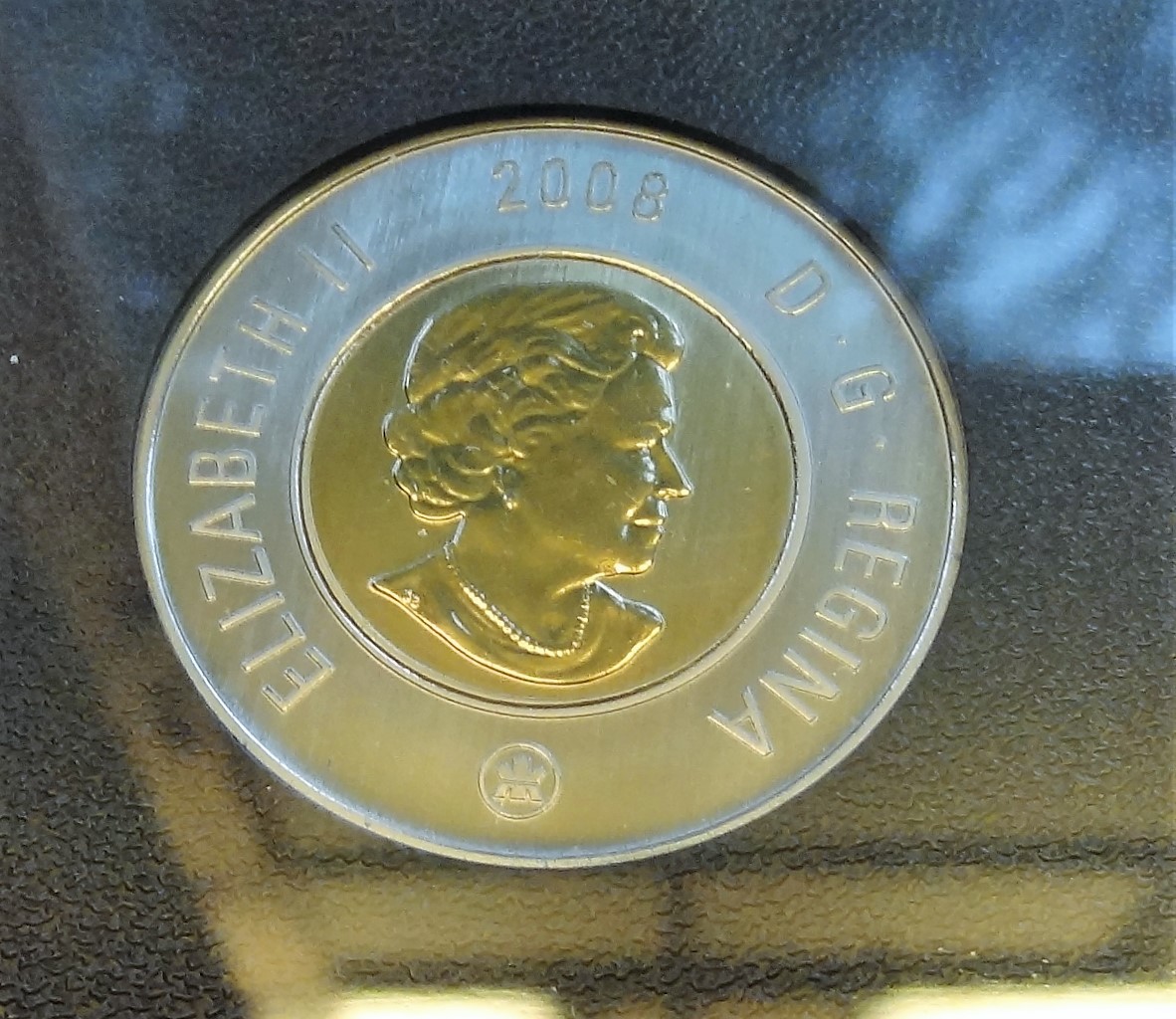 DSC09671 (2).JPG