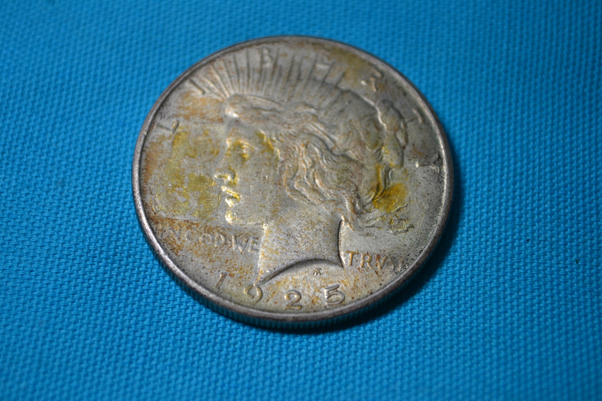 DSC_0017.JPG