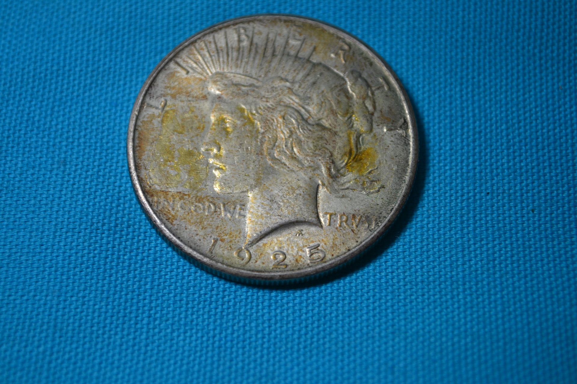 DSC_0020.JPG