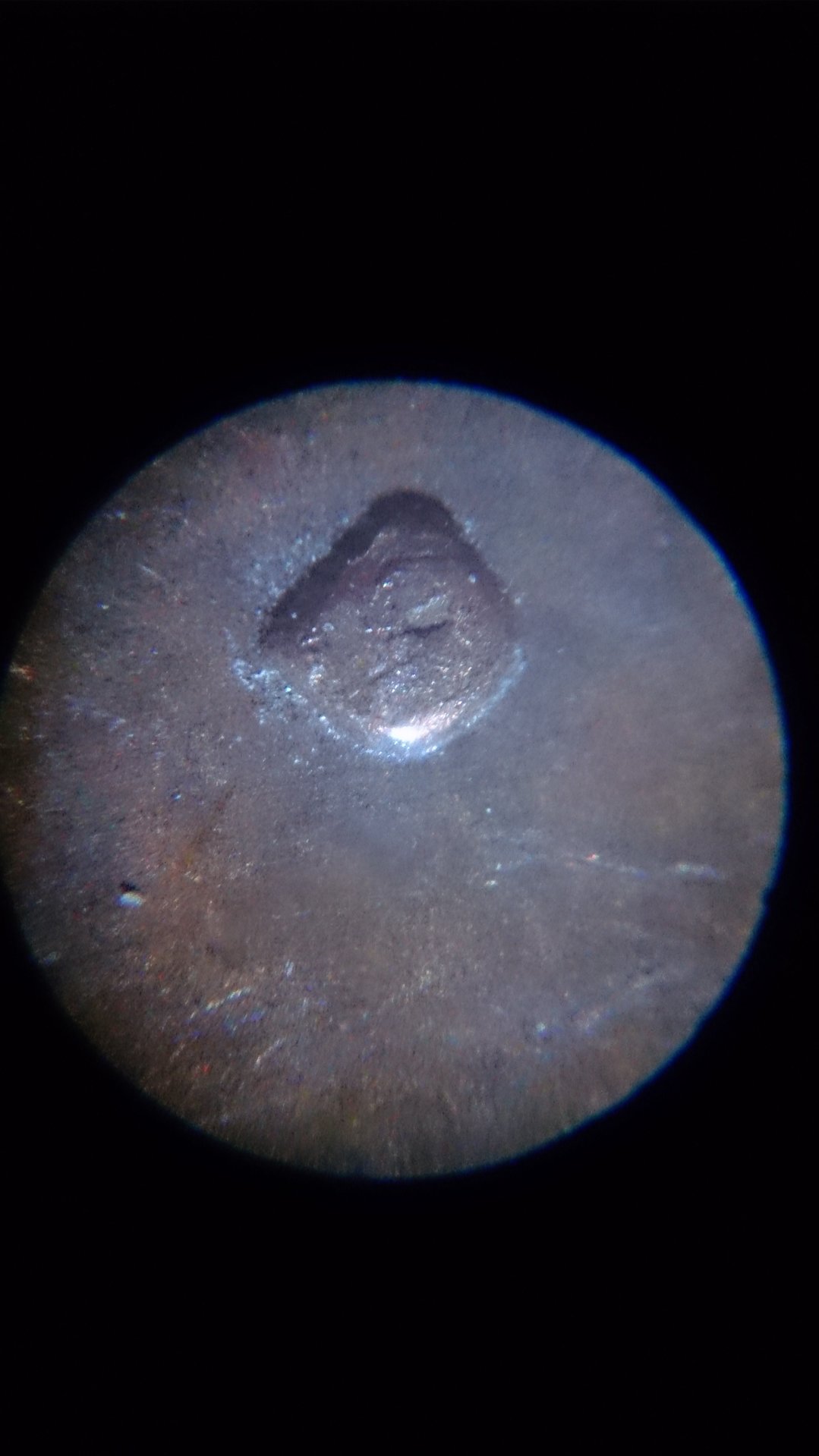 DSC_0128.JPG