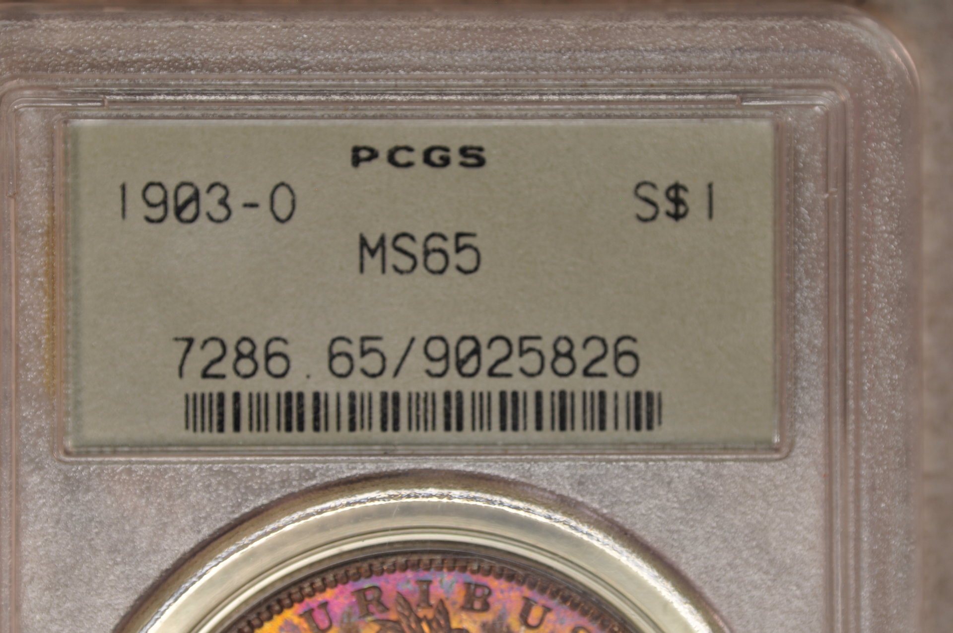 DSC_0205.JPG