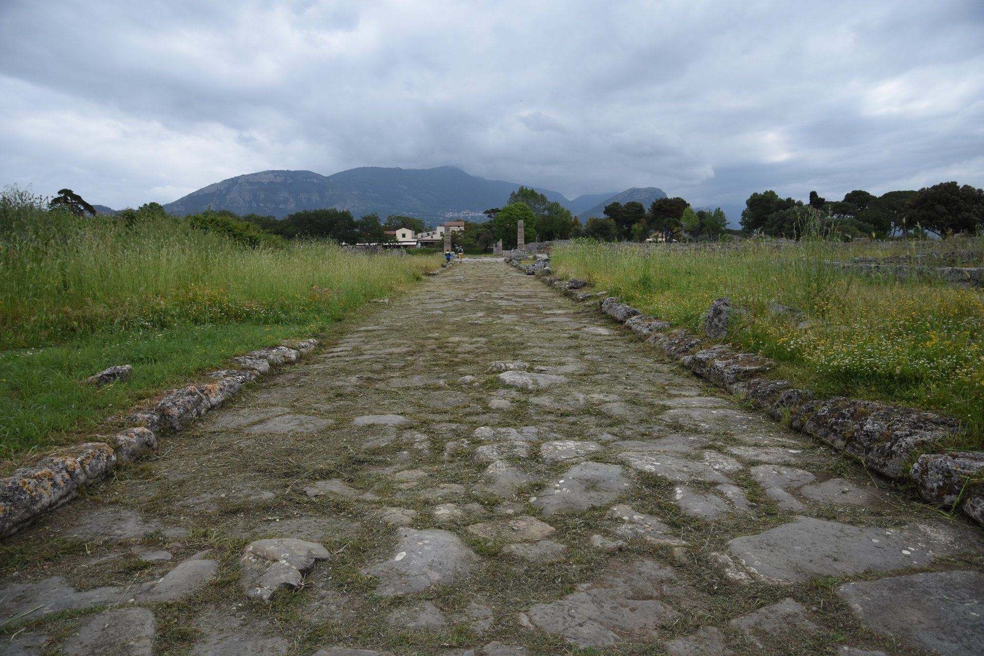 DSC_0205.JPG