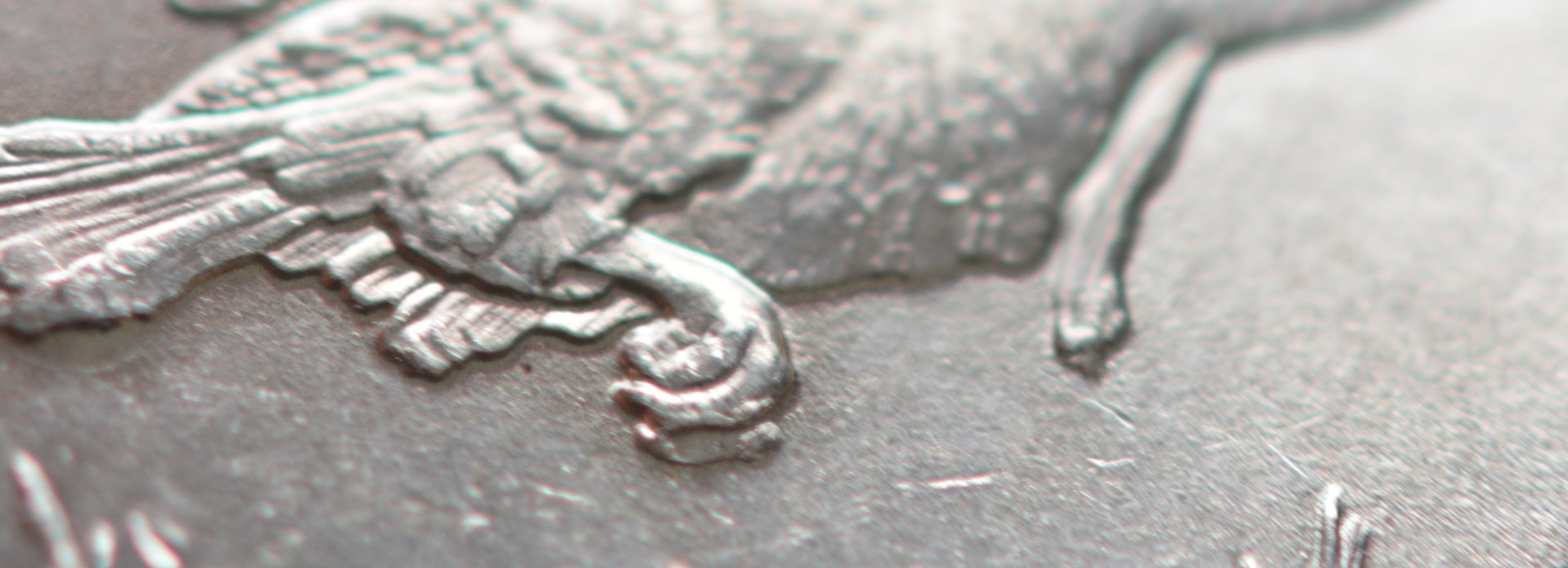 DSC_0420.JPG