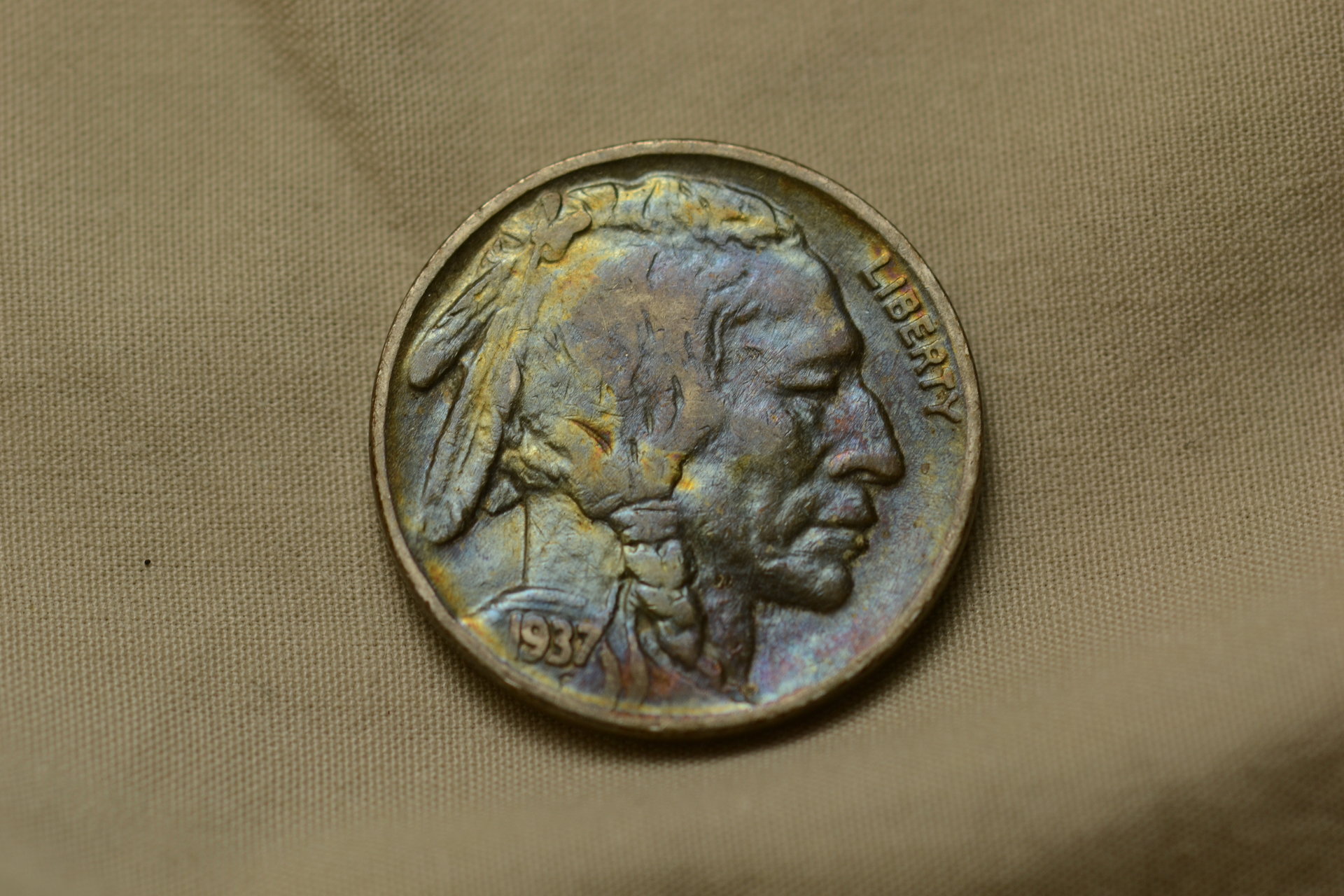 DSC_0874.JPG