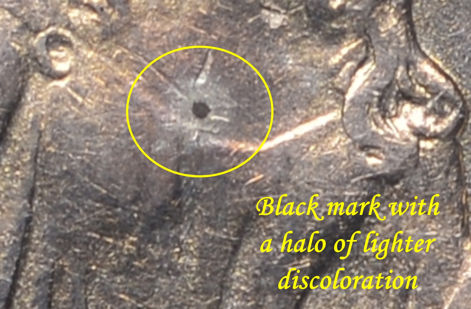 DSC_1104-Obverse-Black Mark.jpg