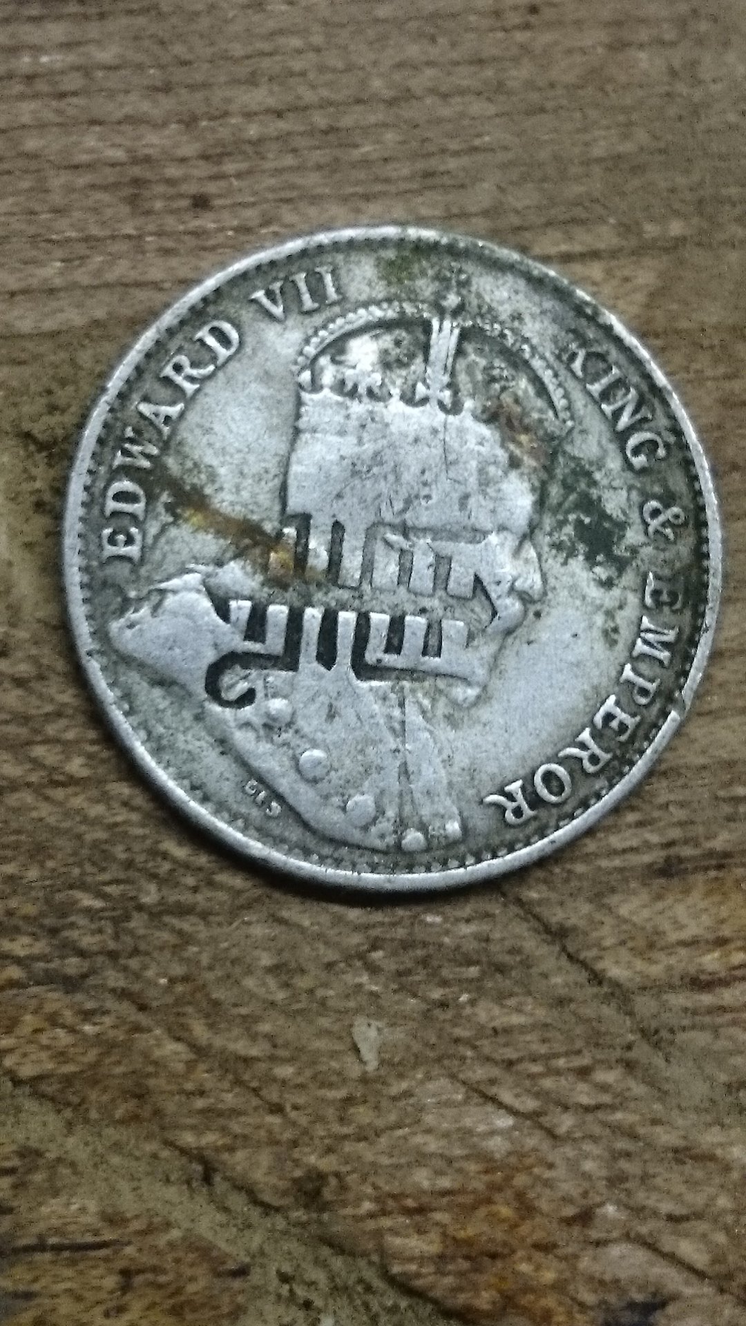 DSC_1331.JPG