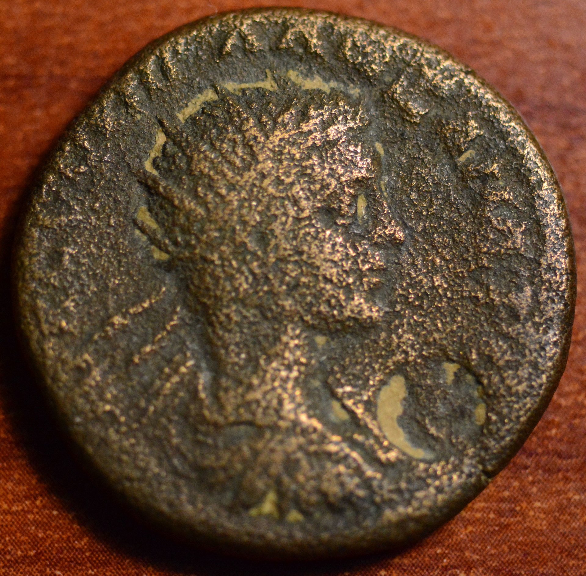 DSC_2114.JPG