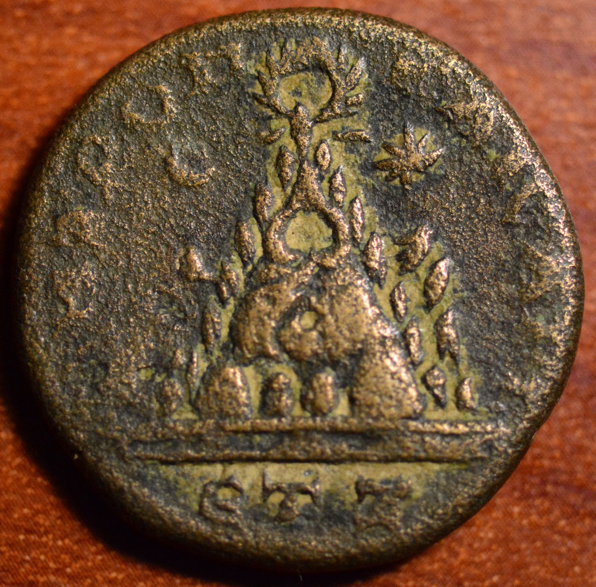 DSC_2117.JPG
