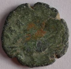 DSC_2309b.jpg