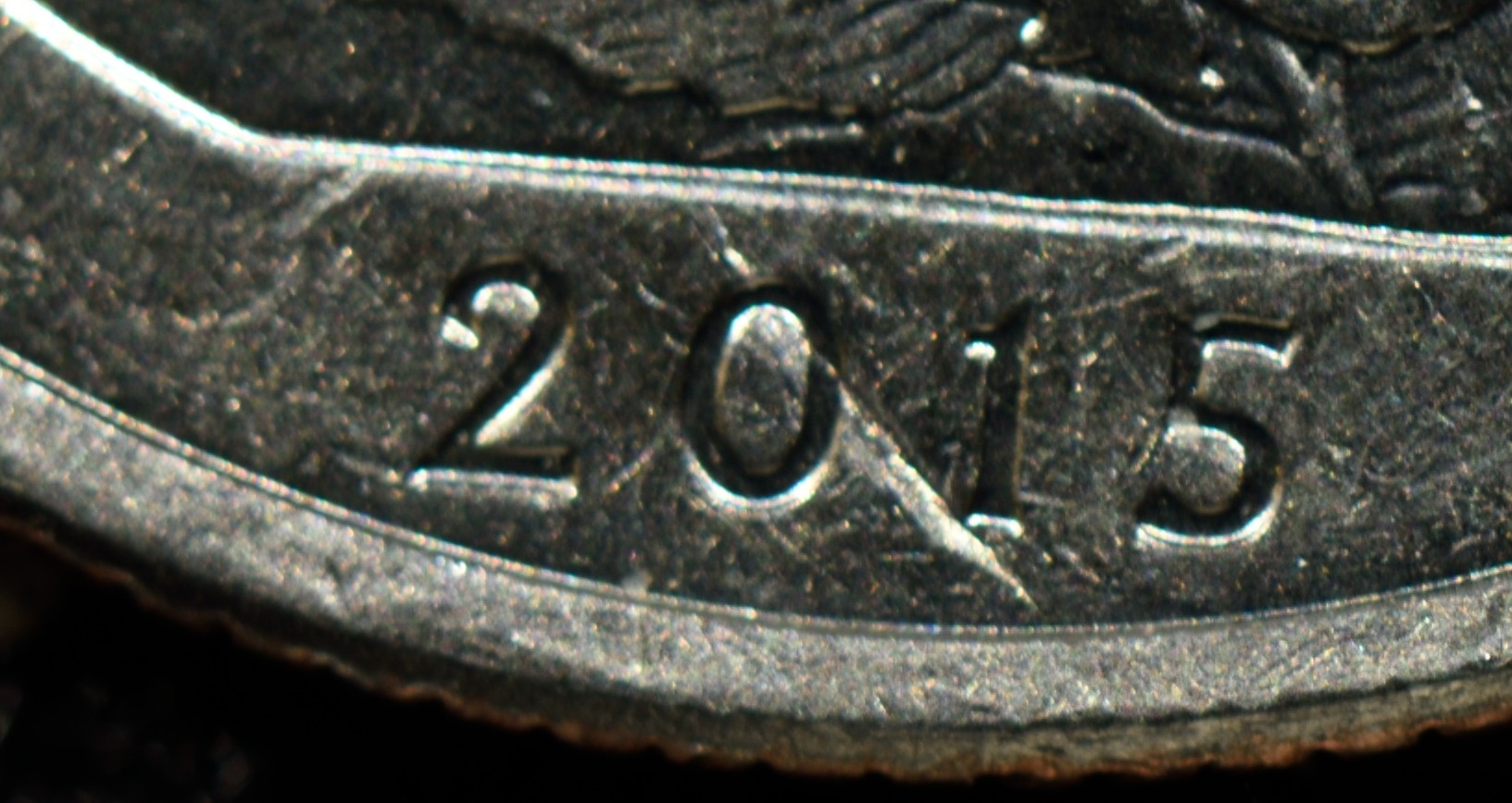 DSC_3558.JPG