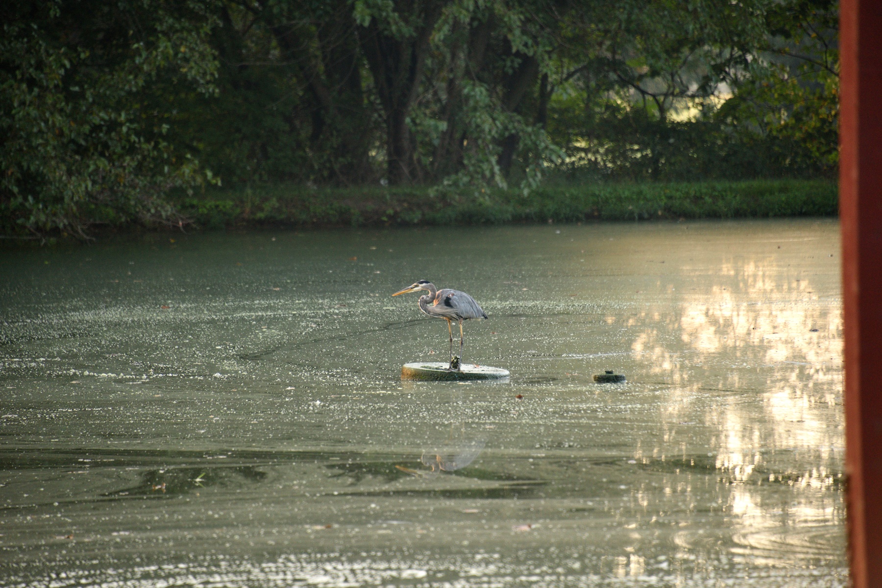 DSC_3835.JPG