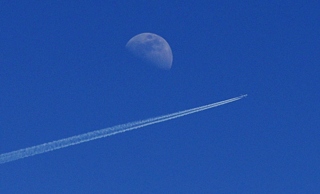 DSC_47471.JPG