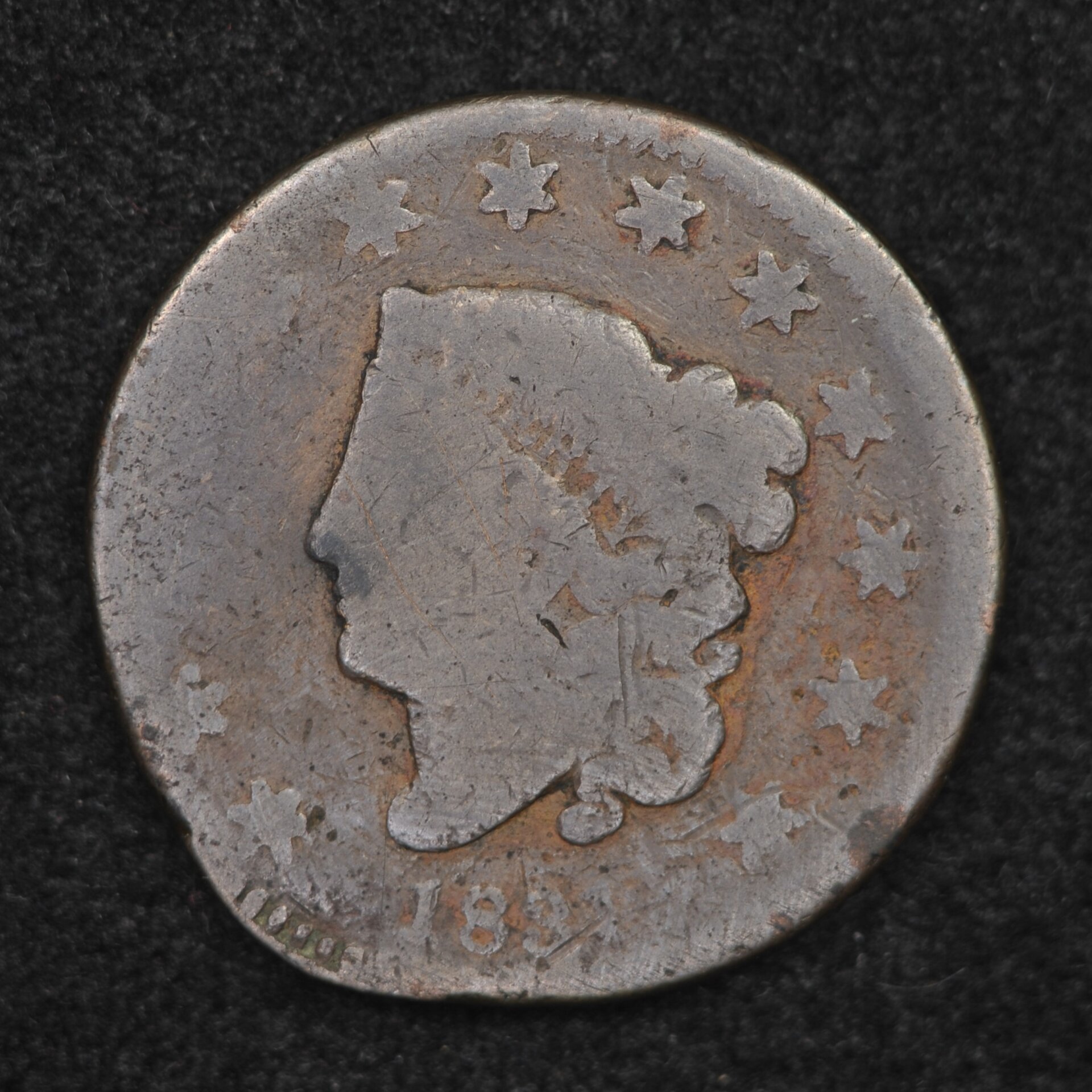 DSC_4848.JPG