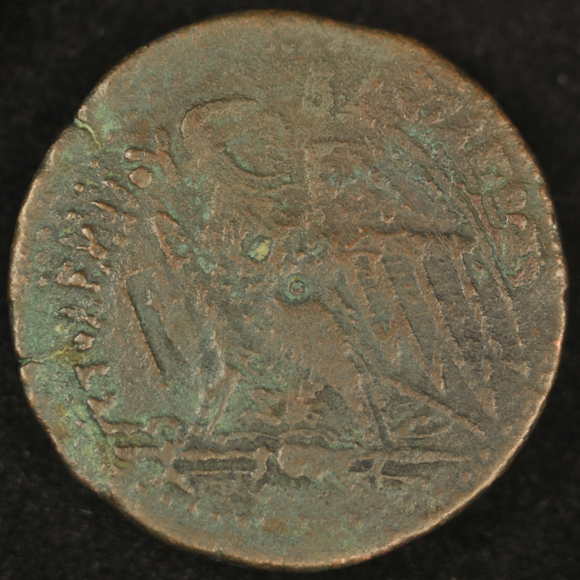 DSC_5578.JPG