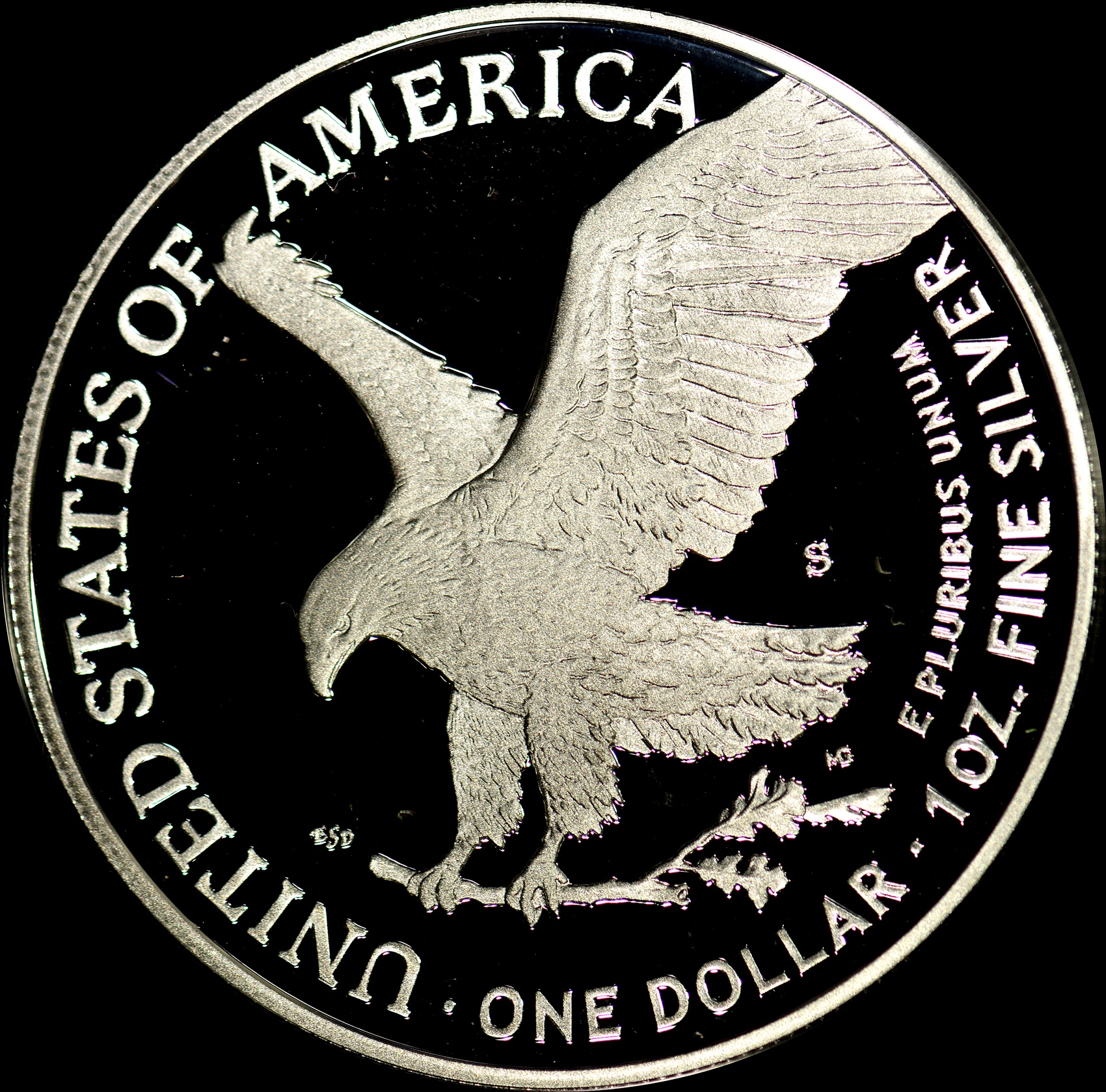 DSC_6302.JPG