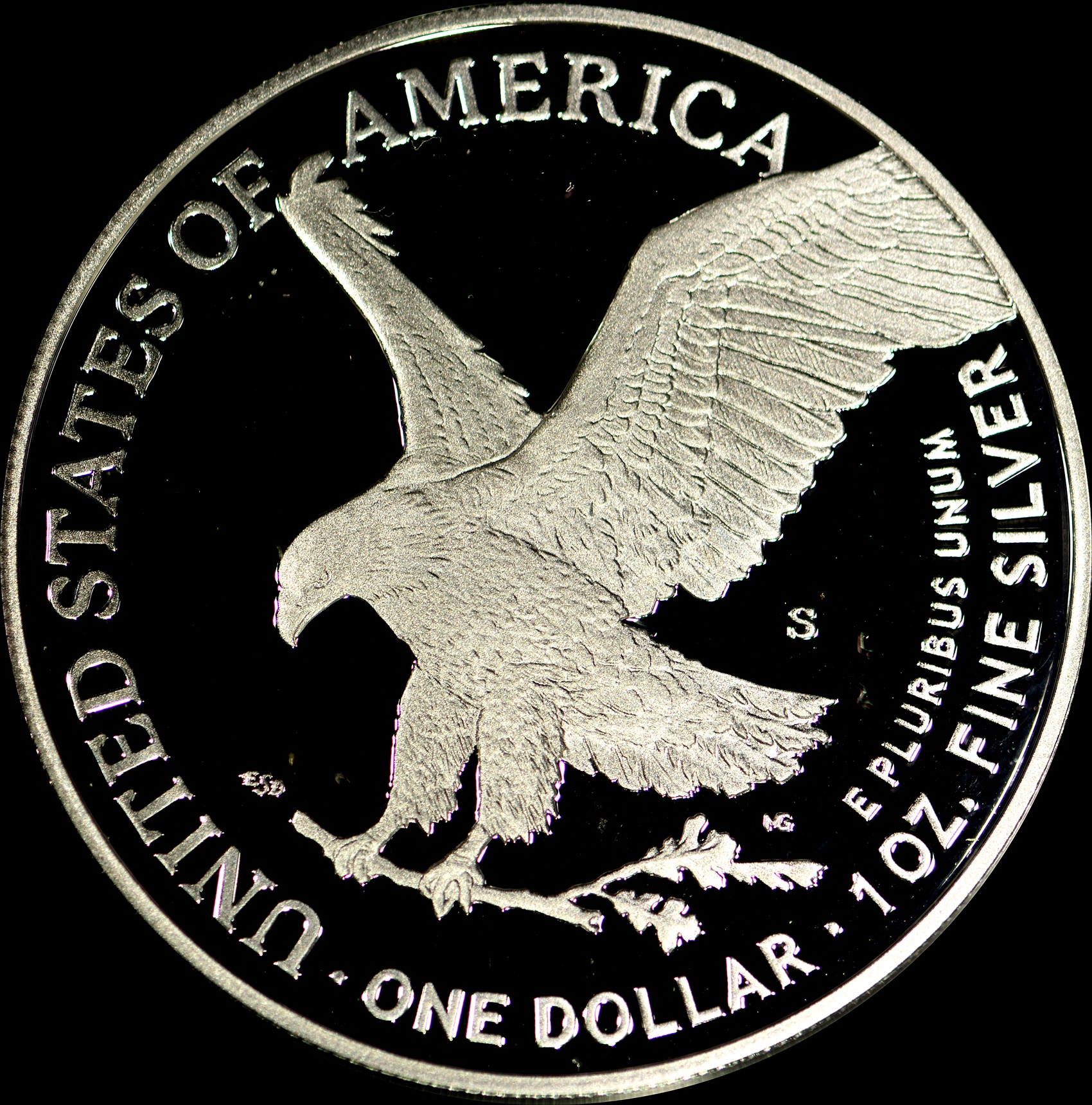 DSC_6303.JPG