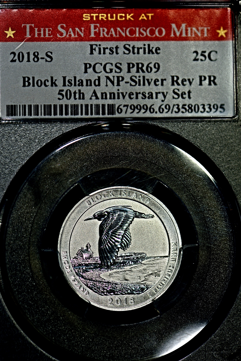 DSC_7837.JPG