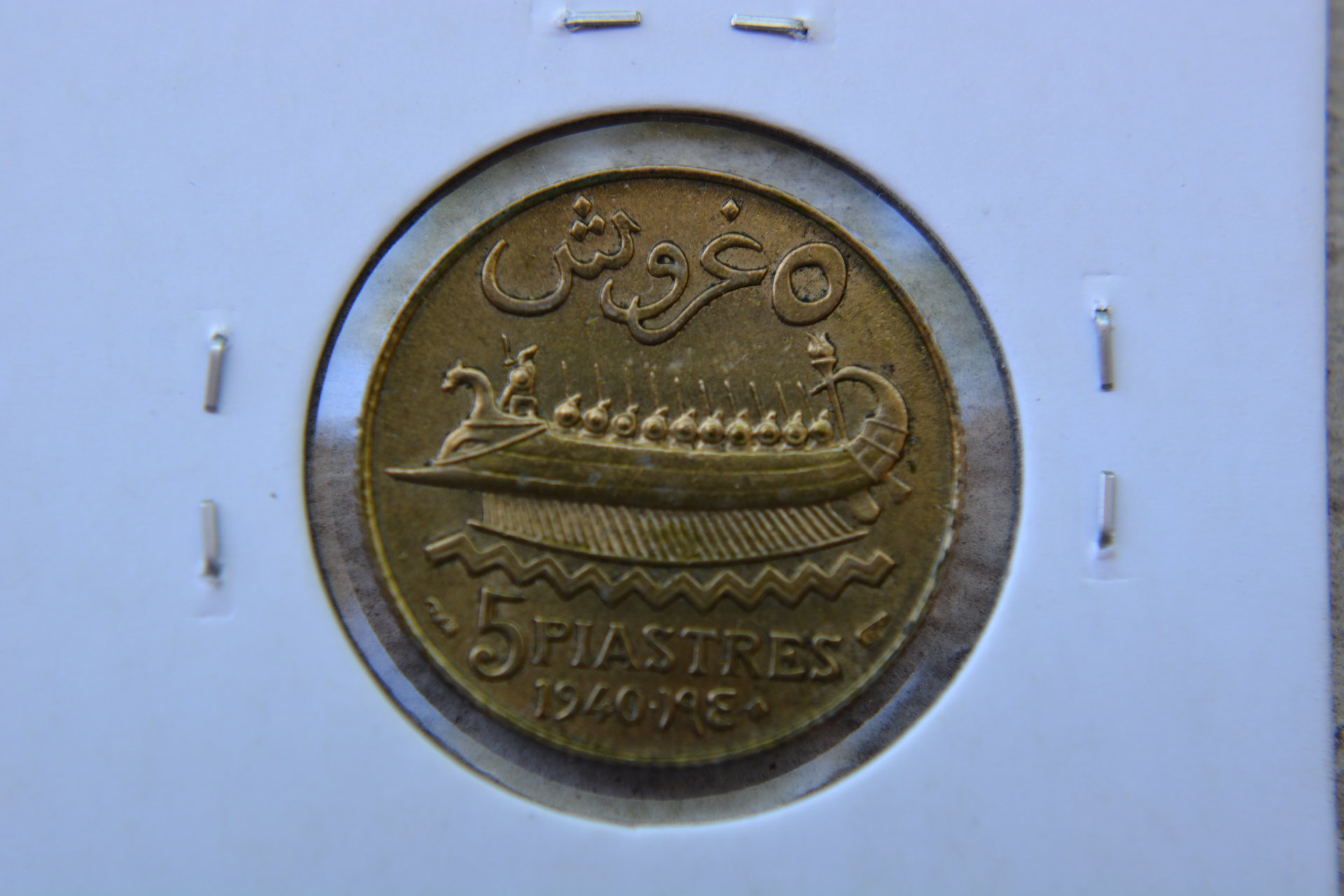 DSC_8502.JPG