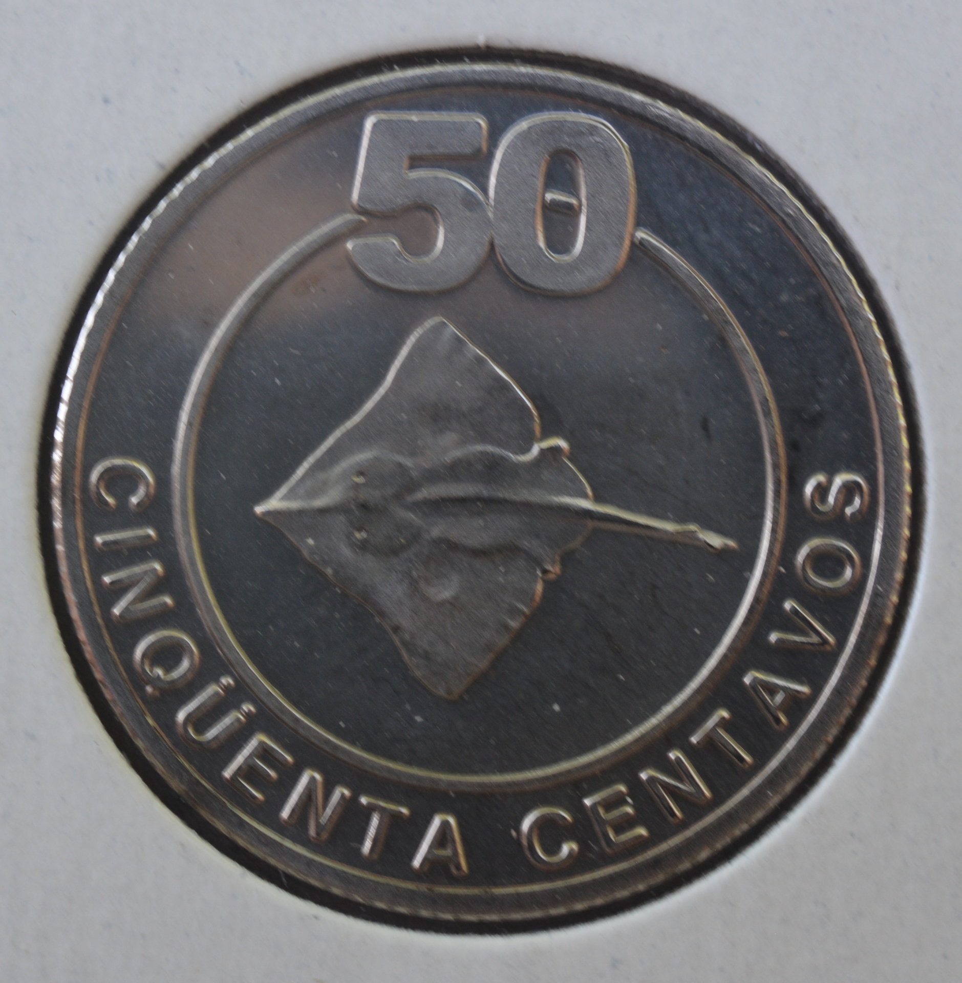 DSC_9551.JPG