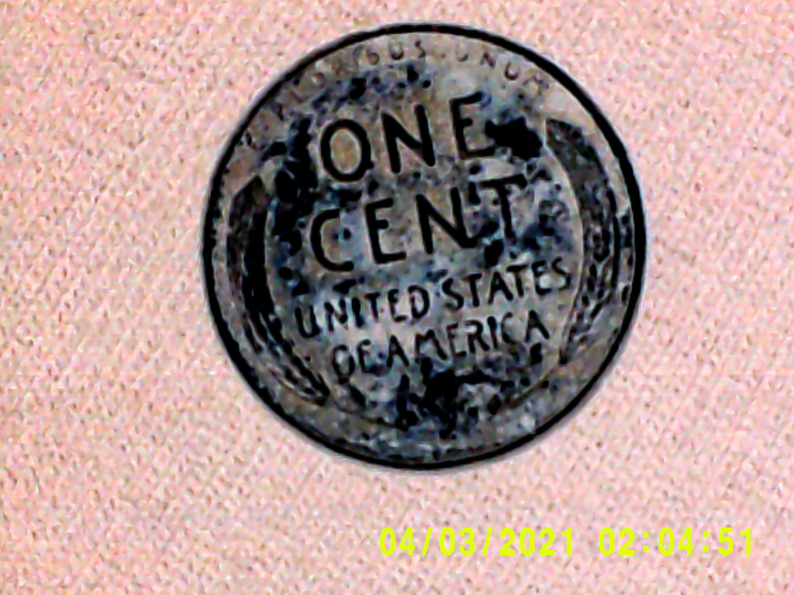 DSCF0016.JPG