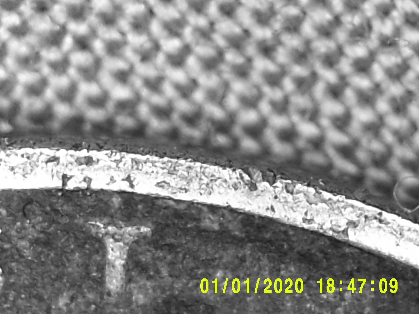 DSCF0051.JPG