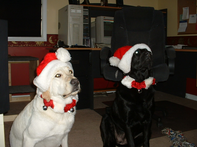 DSCF0093.JPG