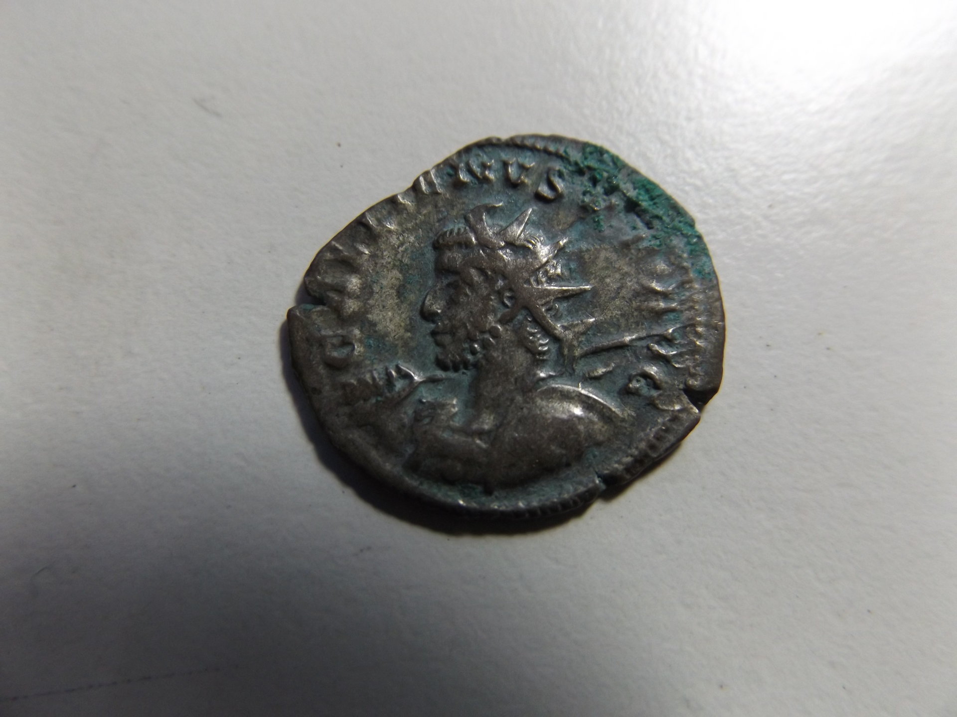 DSCF0572.JPG