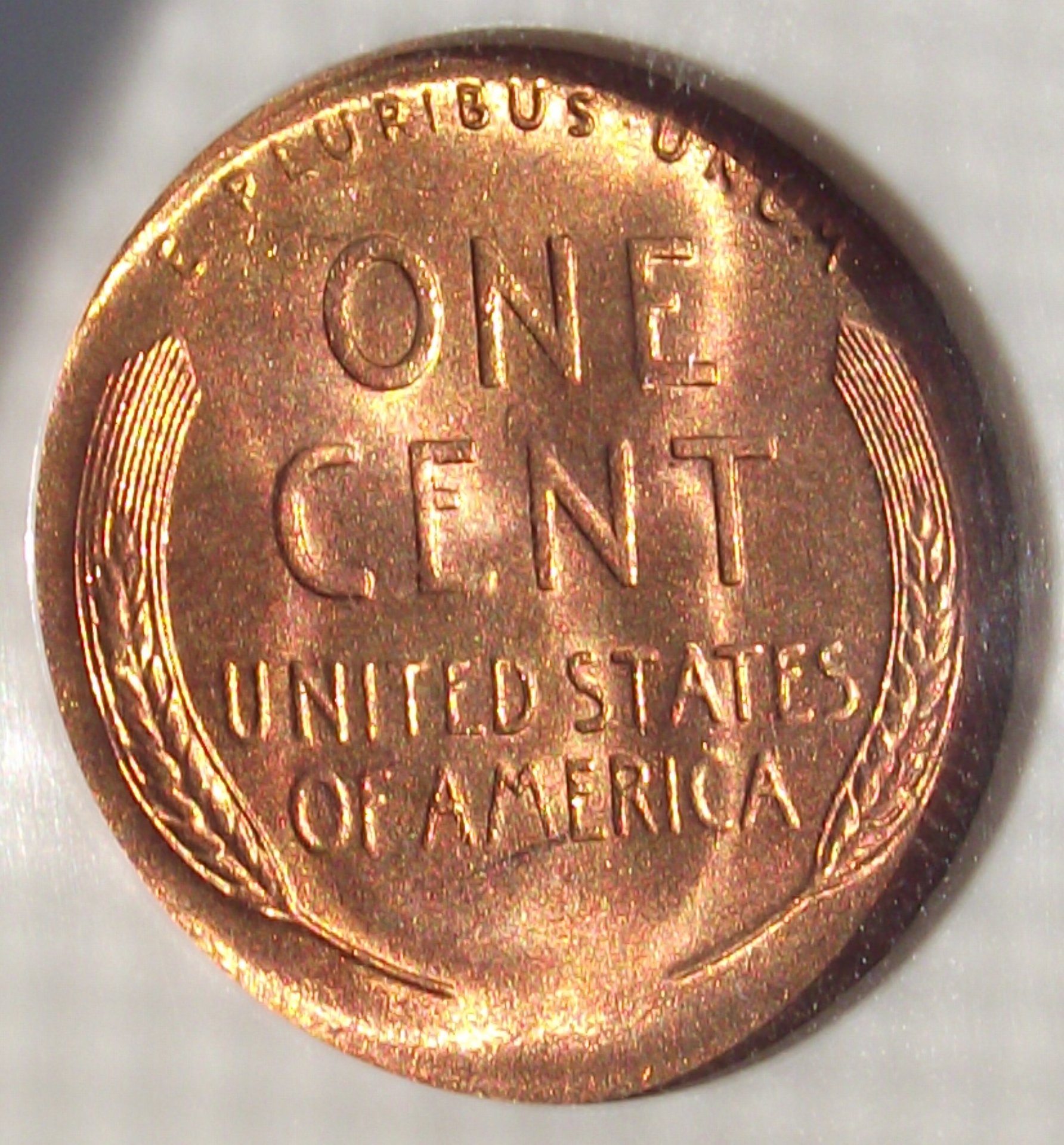 DSCF1025.JPG
