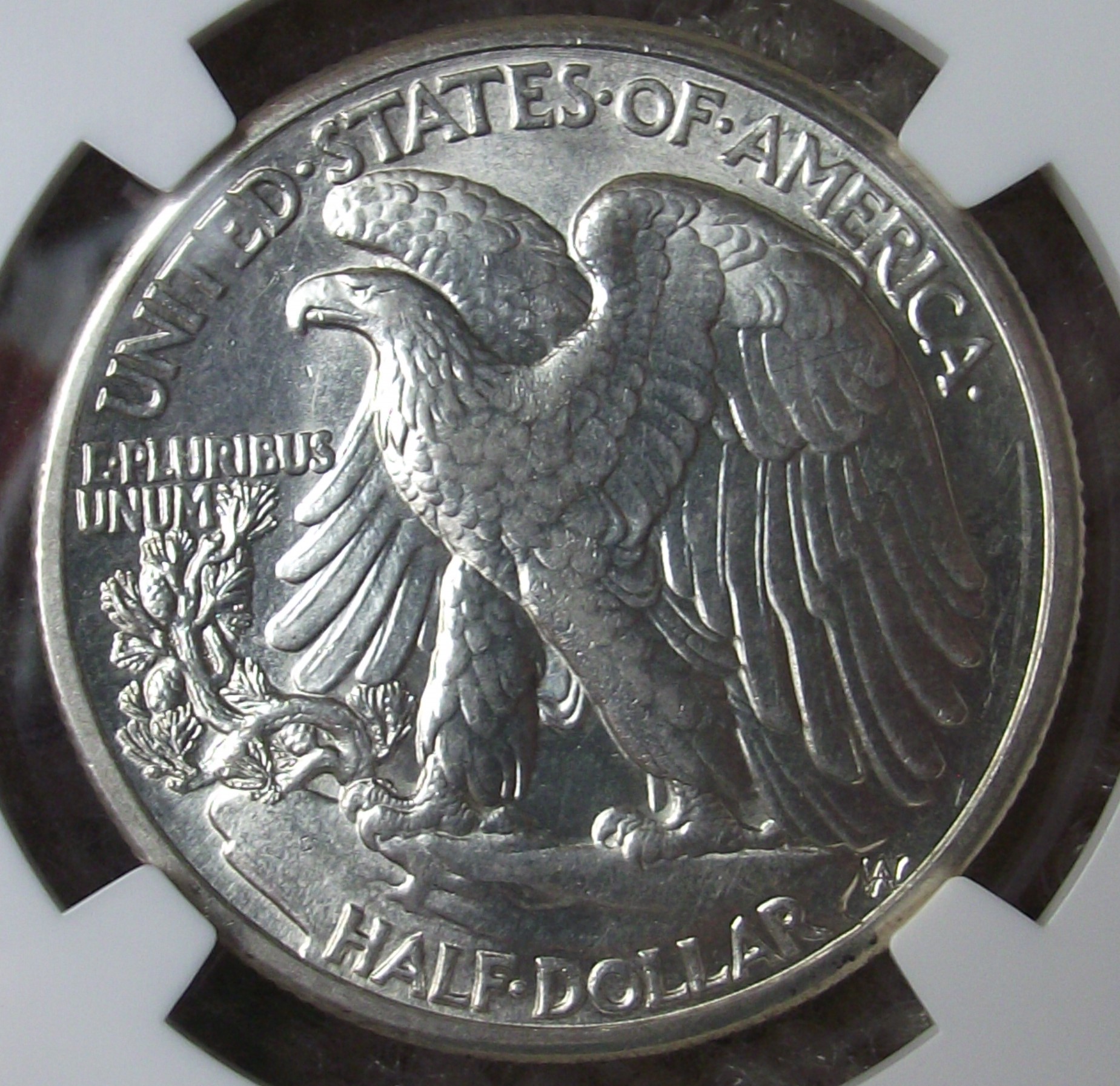 DSCF1028.JPG