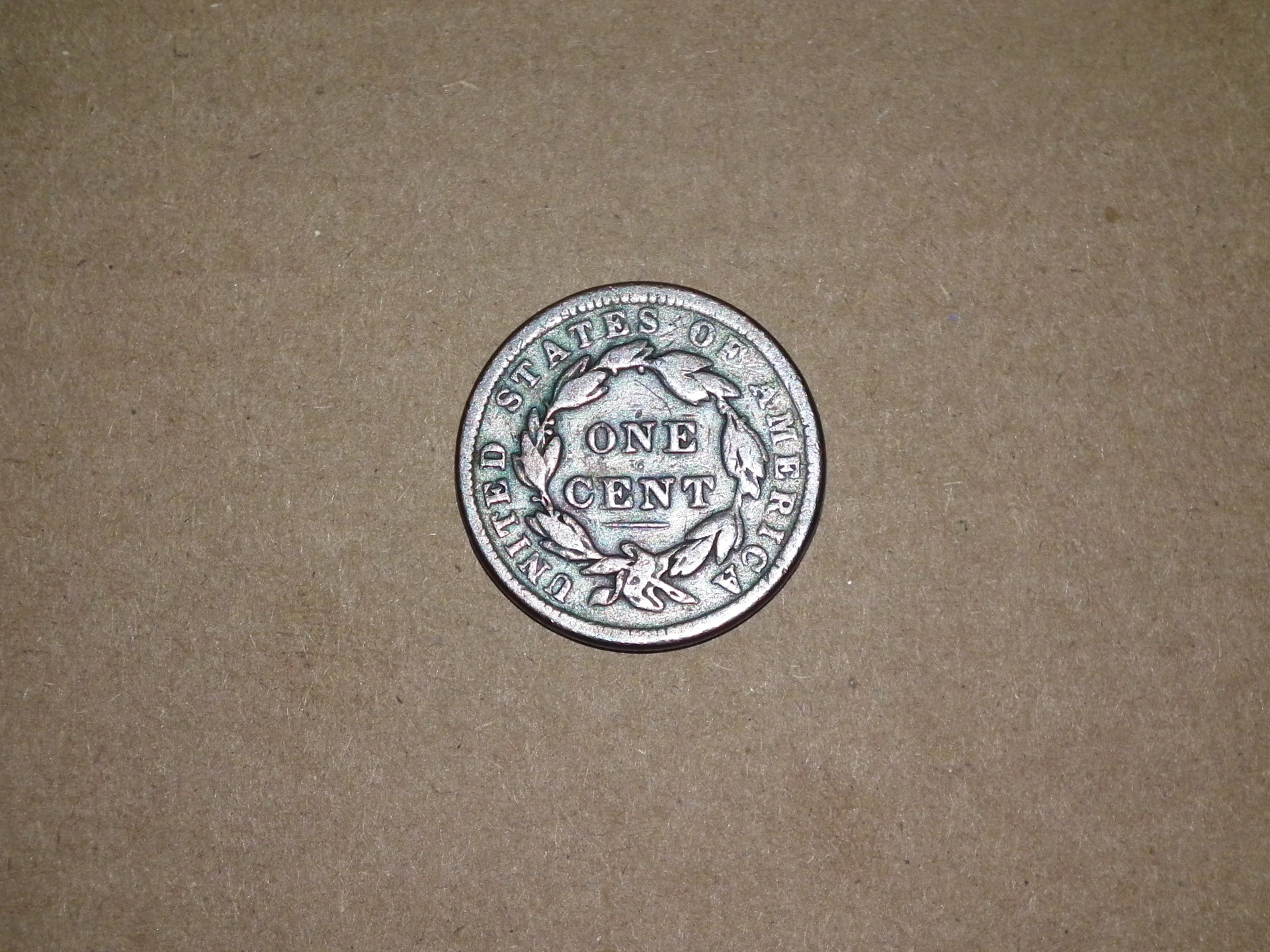 DSCF1565.JPG