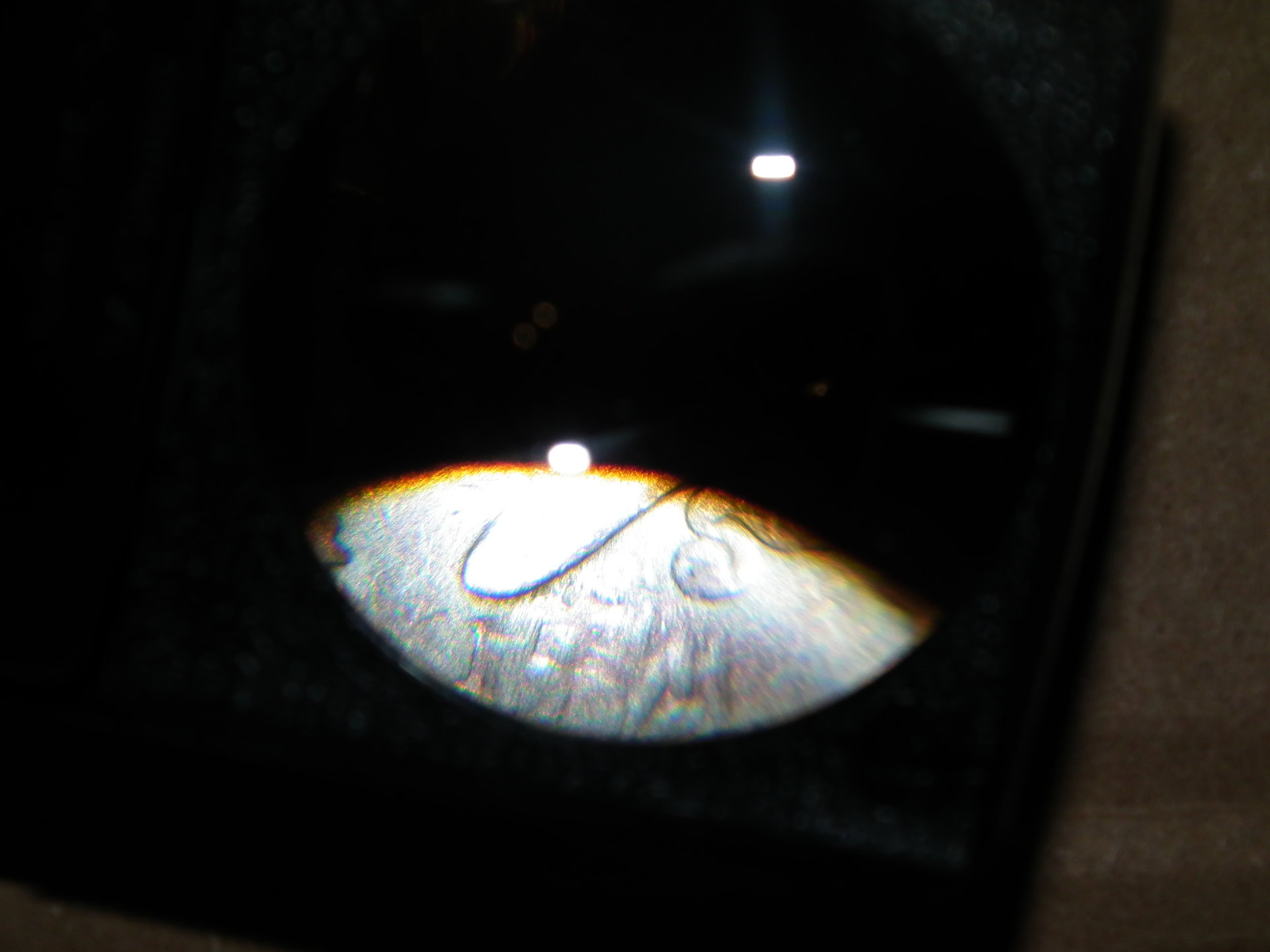 DSCF1569.JPG