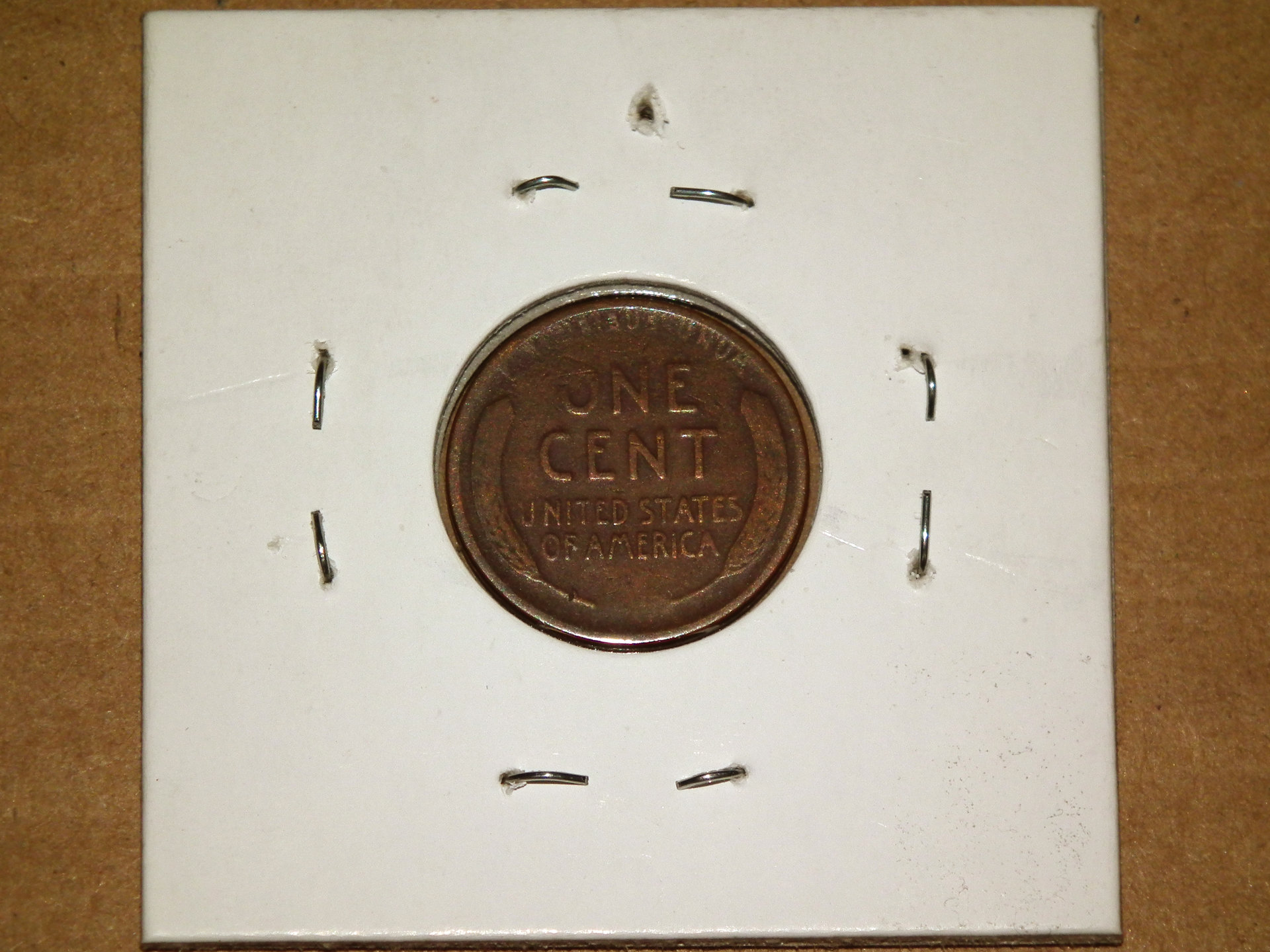 DSCF1593.JPG