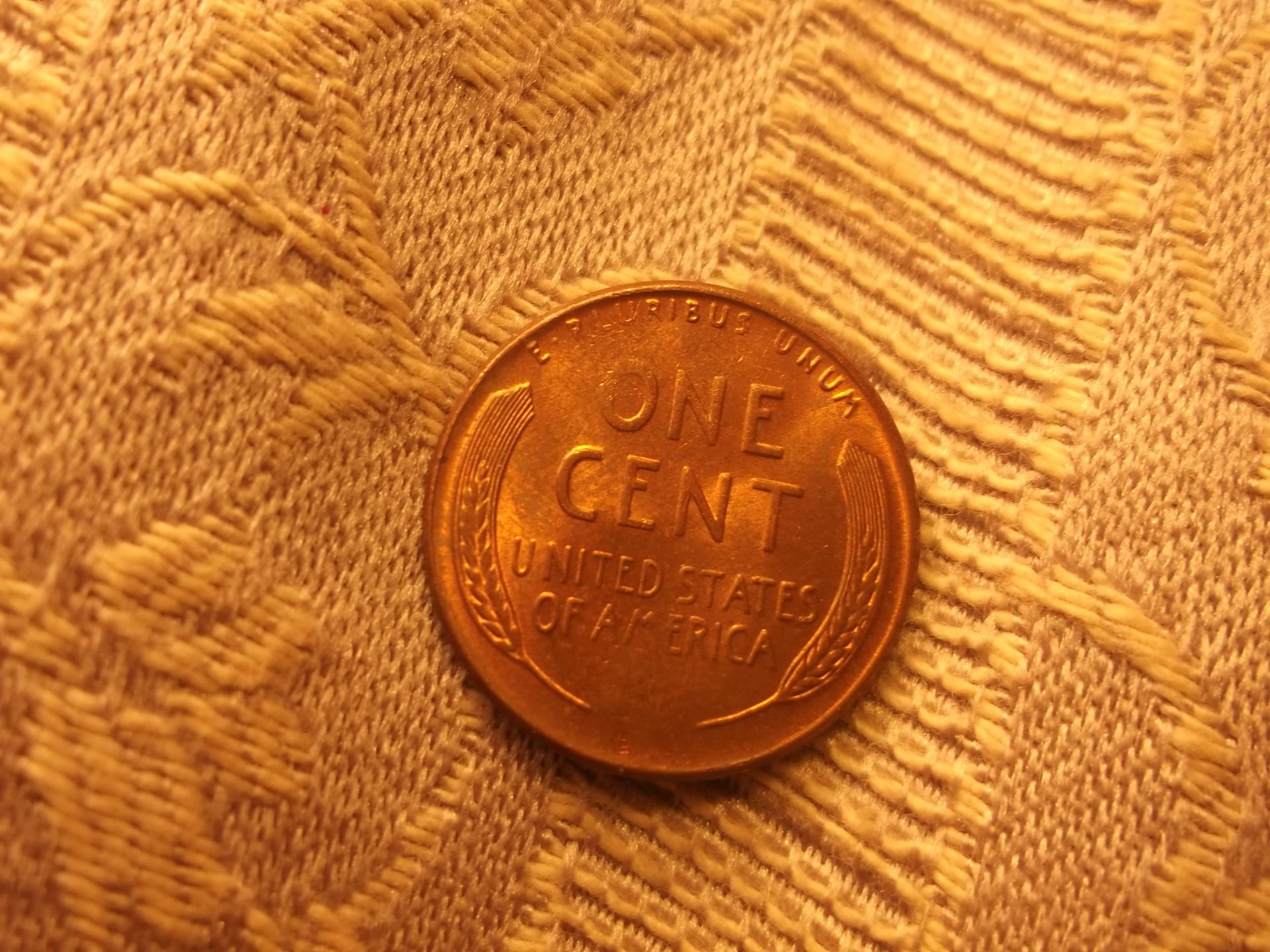 DSCF2082.JPG
