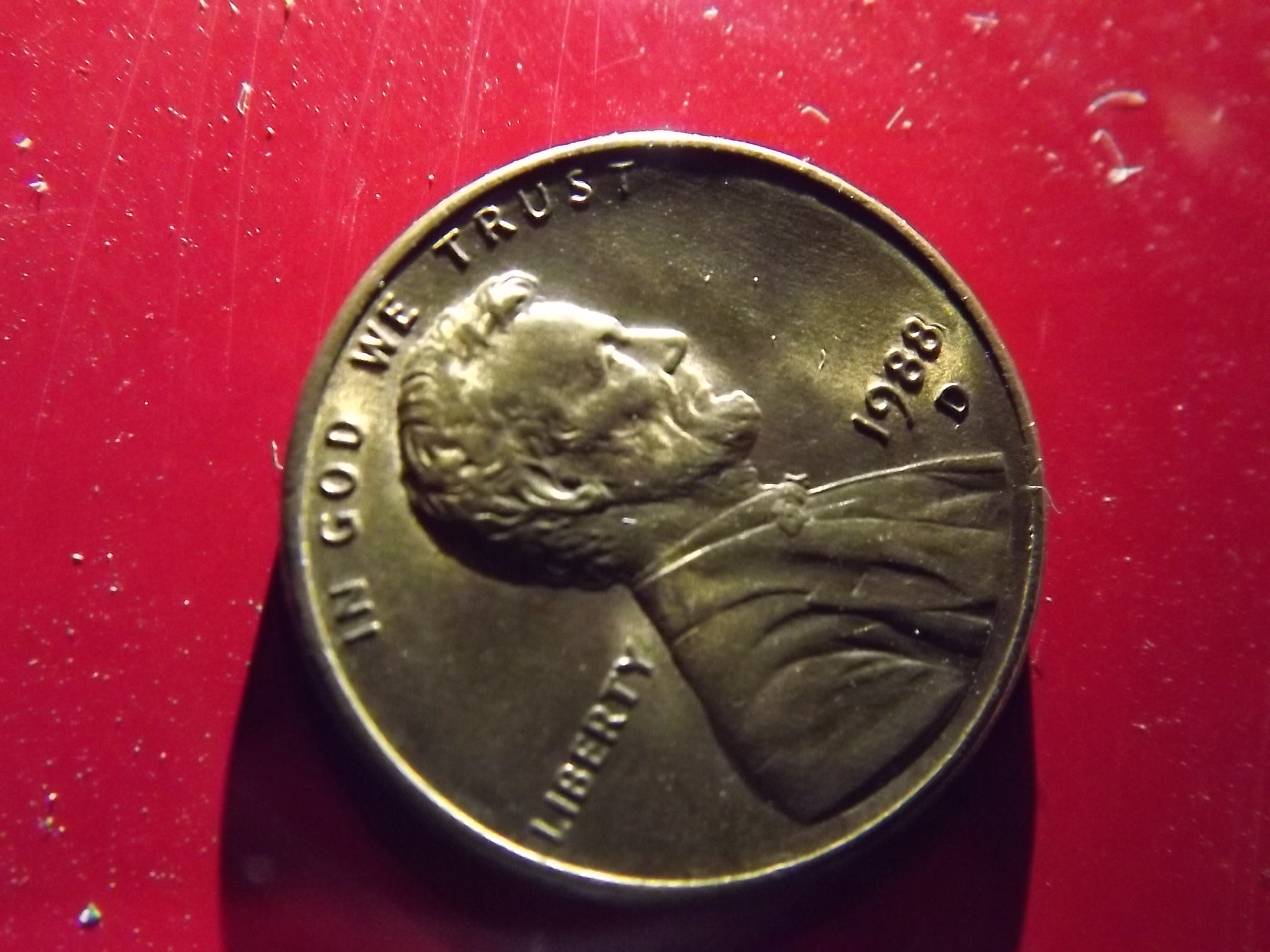 DSCF2398.JPG