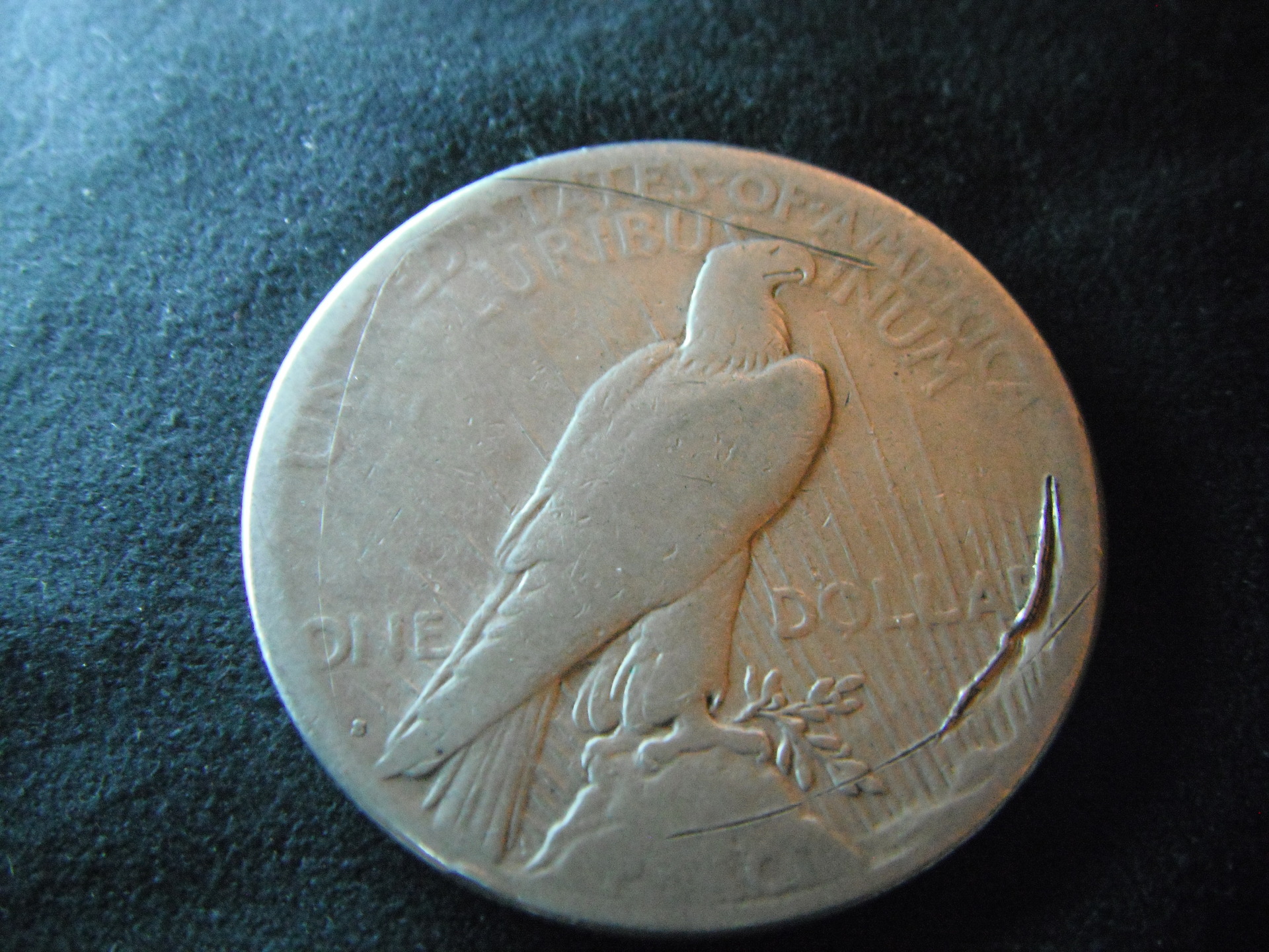 DSCF2630.JPG