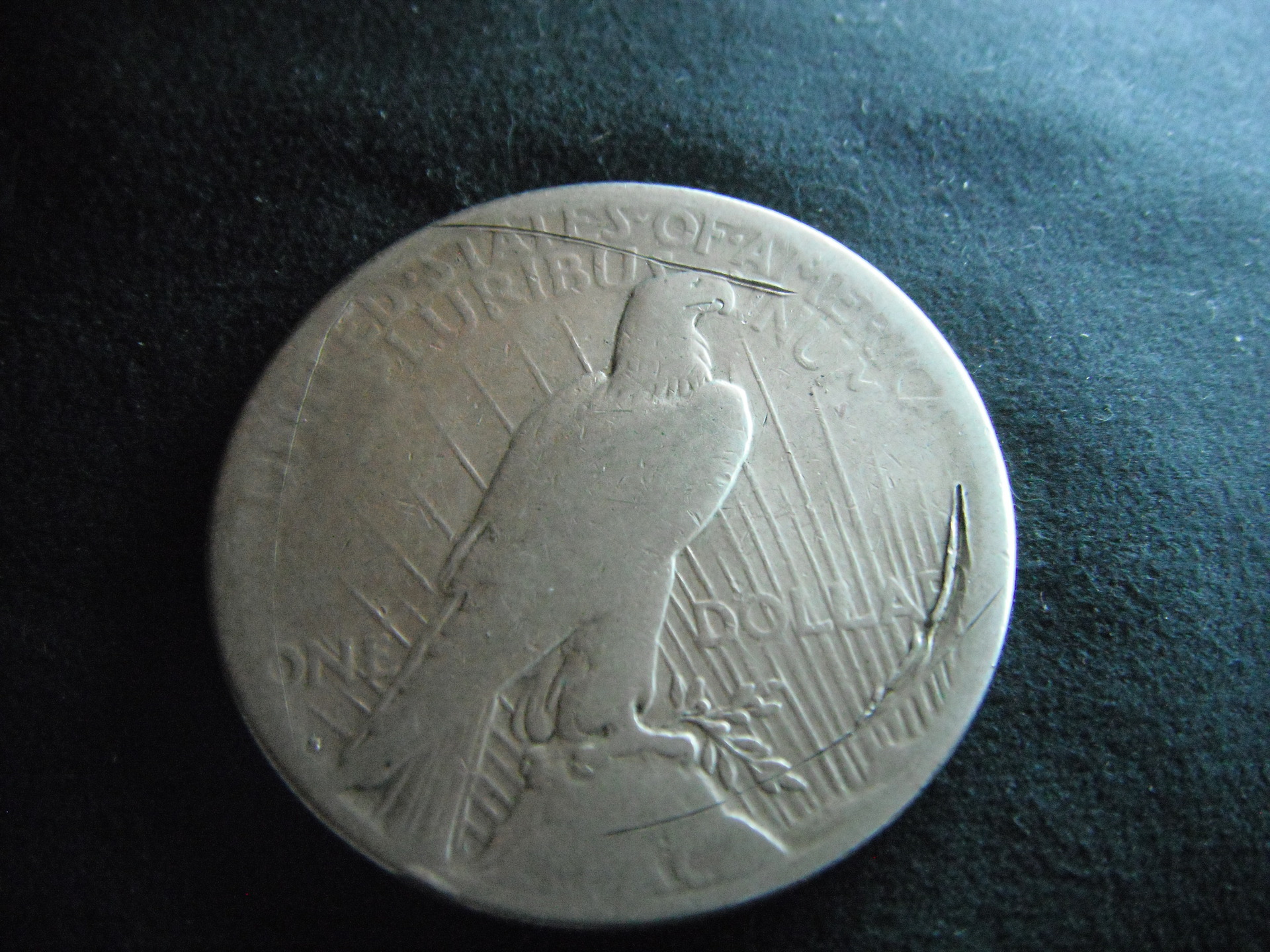 DSCF2631.JPG