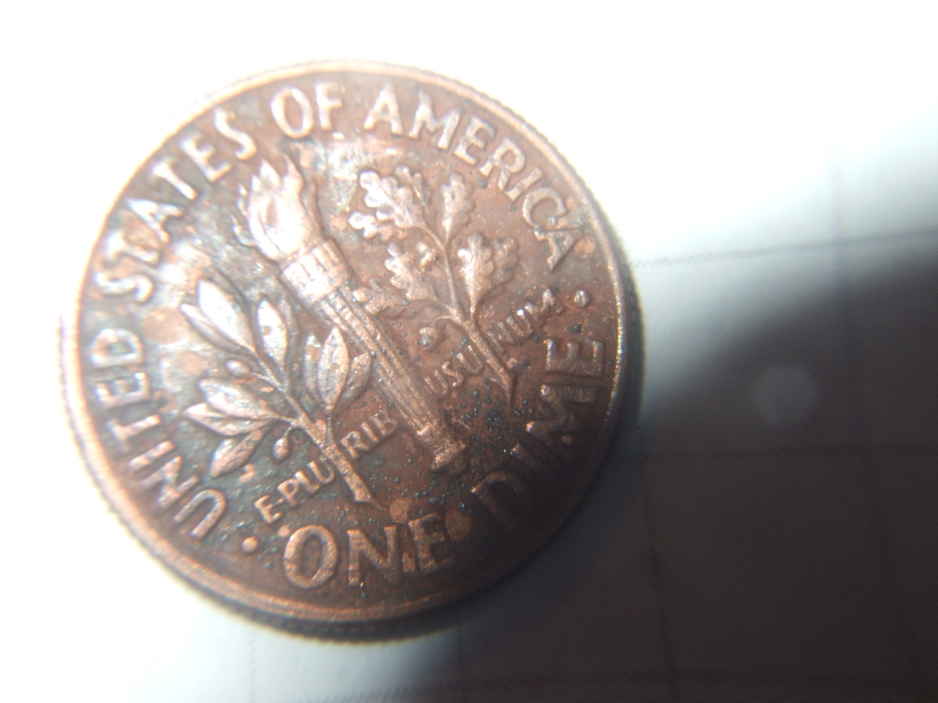 DSCF4784.JPG