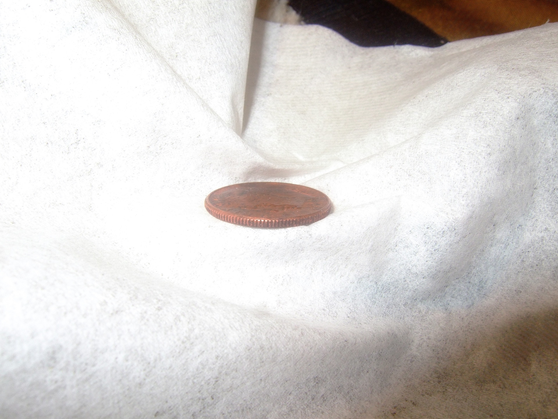 DSCF5520.JPG