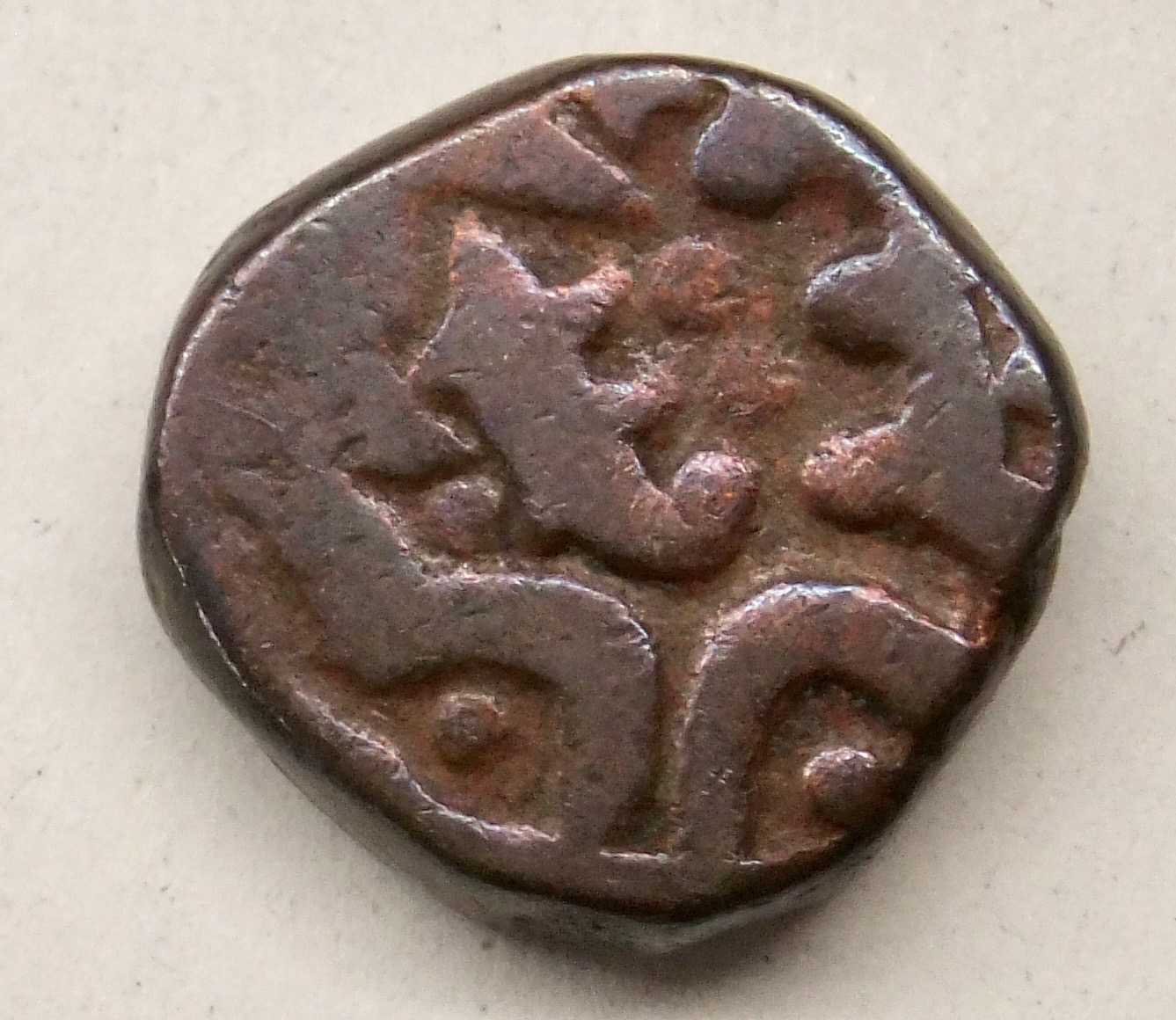 DSCF6590.jpg